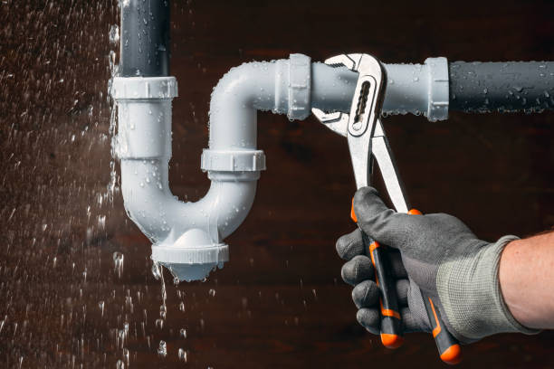 Professional Plumber technician working in Ridott, IL